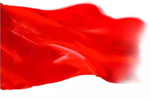 这只是什么鹦鹉呢? - 交流分享乐趣的红迪网平台